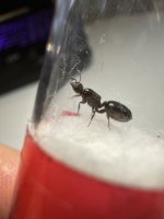 IMG_1286.jpeg