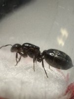 IMG_1292.jpeg