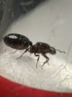 IMG_1293.jpeg