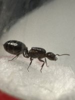 IMG_1294.jpeg