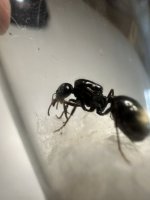 IMG_1296.jpeg