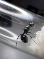 IMG_1301.jpeg