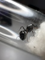 IMG_1302.jpeg
