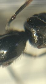 CM261016-195334010.jpg