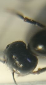 CM261016-195342012.jpg