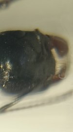CM261016-195422014.jpg