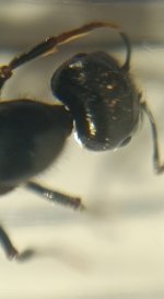 CM261016-195544019.jpg