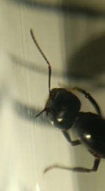 CM261016-195634024.jpg