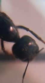 CM261016-195919001.jpg