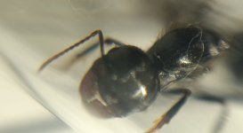 CM261016-200013002.jpg