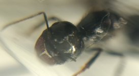 CM261016-200016003.jpg