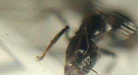 CM261016-200024005.jpg