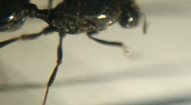 CM261016-200029006.jpg