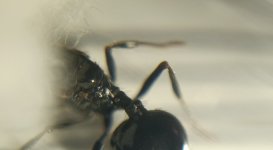 CM261016-200035007.jpg