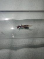 IMG-20261017-WA0005.jpg