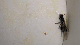 IMG_1364.jpeg
