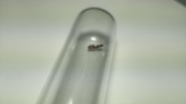 IMG_20261018_184603.jpg
