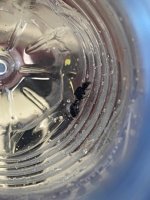IMG_3202.jpeg