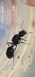 IMG_3205.jpeg