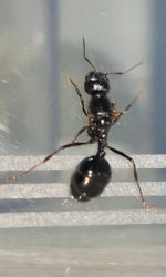 IMG_3274.jpeg