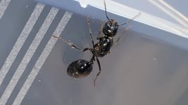 IMG_3263.jpeg