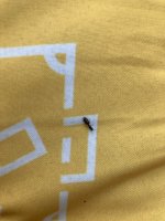 IMG_1027.jpeg