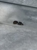 IMG_3246.jpeg