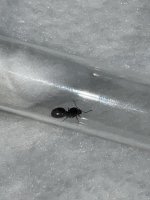 IMG_3245.jpeg