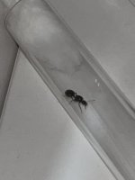 IMG_3244.jpeg