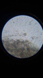 20261023_000816.jpg