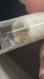 20261025_204744.jpg