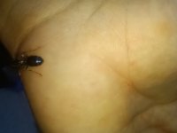 MVIMG_20261027_180101.jpg
