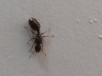 IMG_20220616_100300.jpg