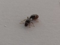 IMG_20220616_100228.jpg