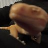 Oscargeko