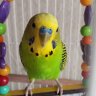 eren_oztrk3736