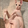 ijsru