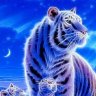 samet_56