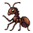 Oyilanci
