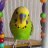 eren_oztrk3736
