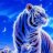 samet_56