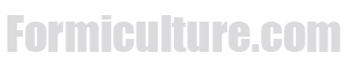 www.formiculture.com