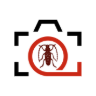 www.insectimages.org