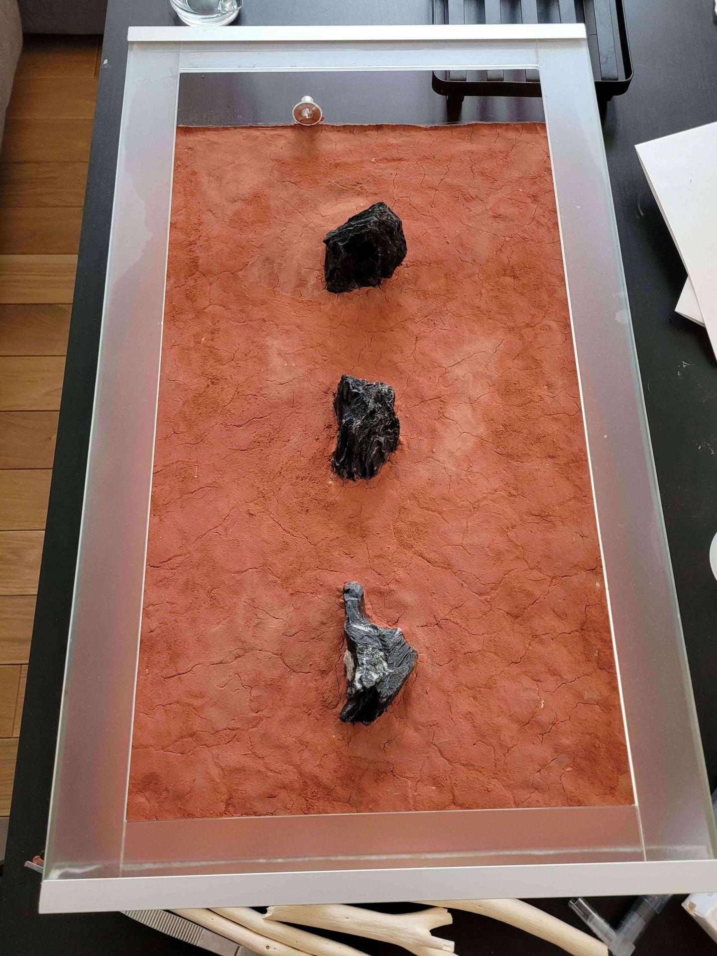 www.formiculture.com