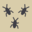 entomologist.net