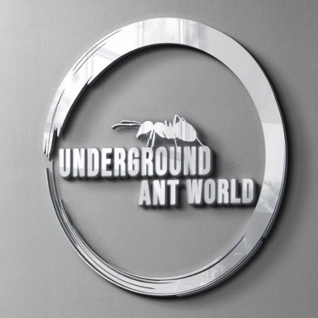 undergroundantworld.com