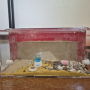 IMG-20250414-WA0001.jpg