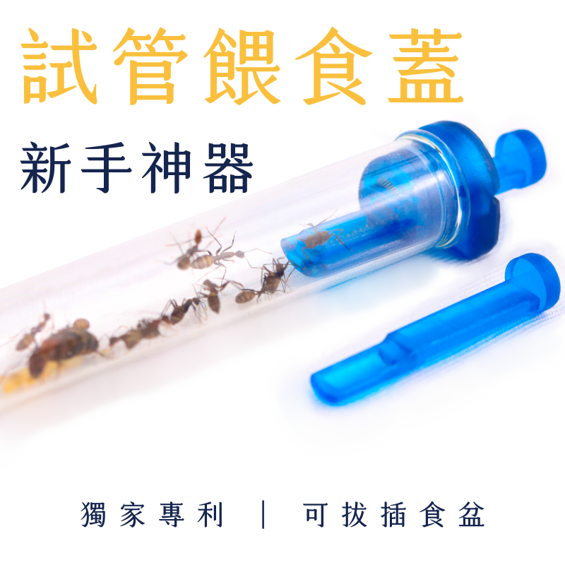 antcatcher.com
