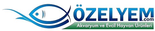 www.ozelyem.com