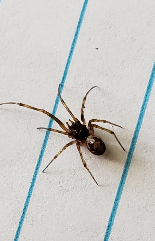20181020_122525.jpg